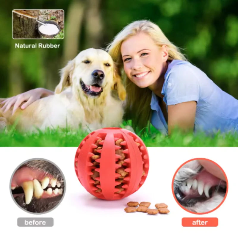 Dog Toy Ball Interactive Rubber Balls Puppy Chewing Toys Pet Tooth Cleaning Ball Cats Pets Food Treat Feeder Silicone Balls Toy